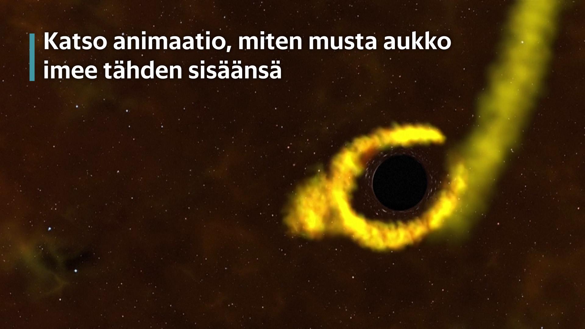 Katso animaatio, miten musta aukko imee tähden sisäänsä