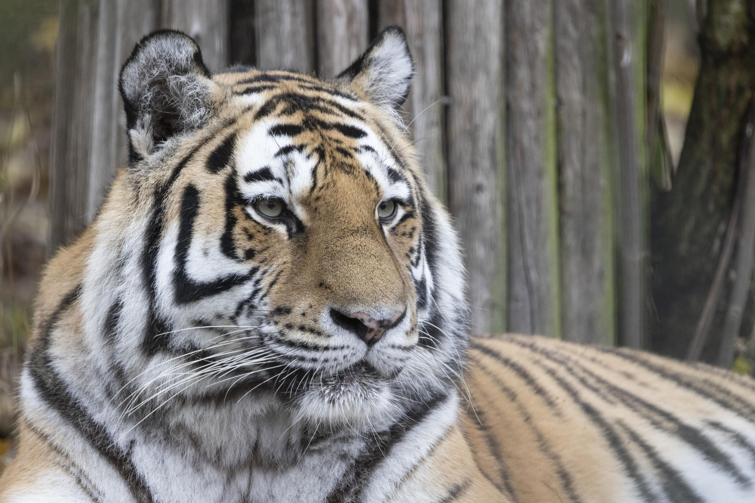 Korkeasaari Korkeasaari