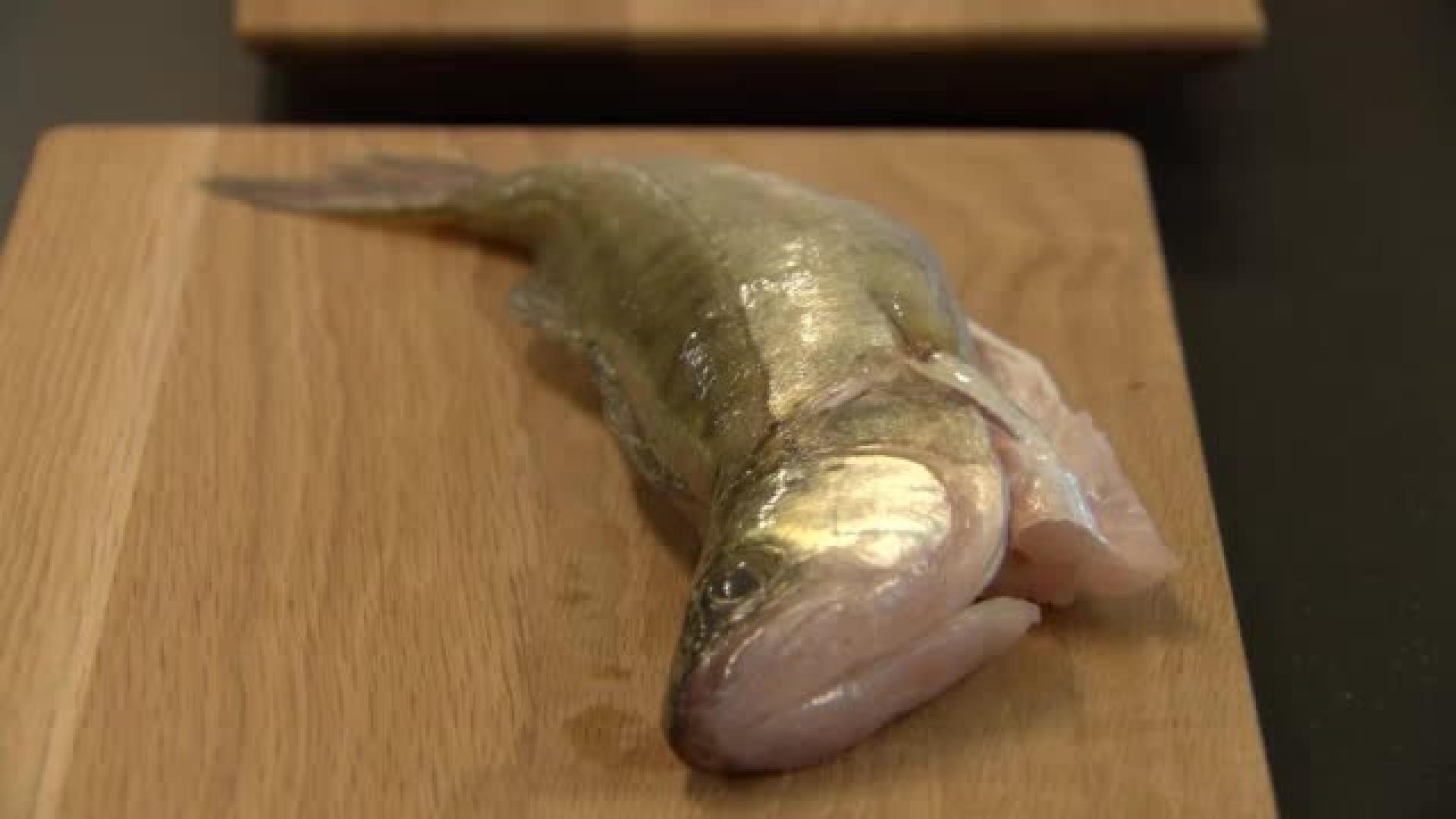 MasterChef-kilpailijat eivät tunnista tätä yleistä kotimaista kalaa! Tunnistaisitko sinä?